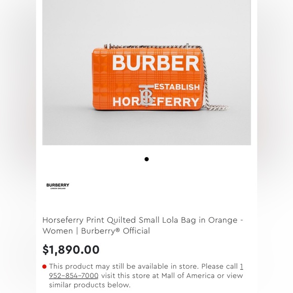 Authentic Burberry Lola Small Bag - Picture 2 of 6